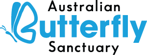 Australian Butterfly Sanctuary
