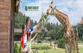 Chimelong Safari Park