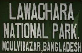 Lawachara Nationalpark