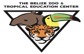 The Belize Zoo