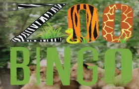 Bingo Zoo Tuzla