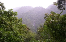 Parque Nacional Tapantí