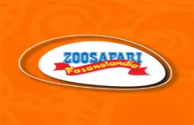Zoo Safari