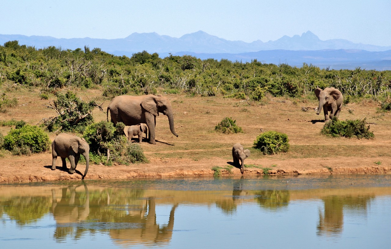 Südafrika