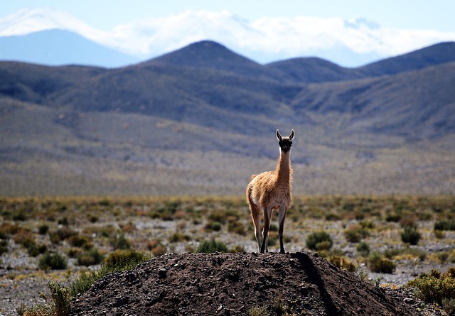 Chile
