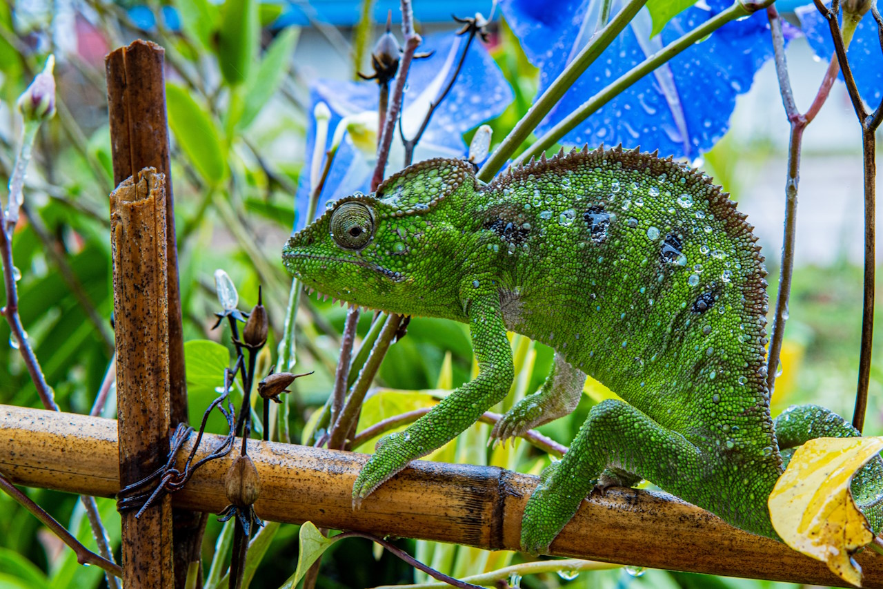 Bild zu Antananarivo