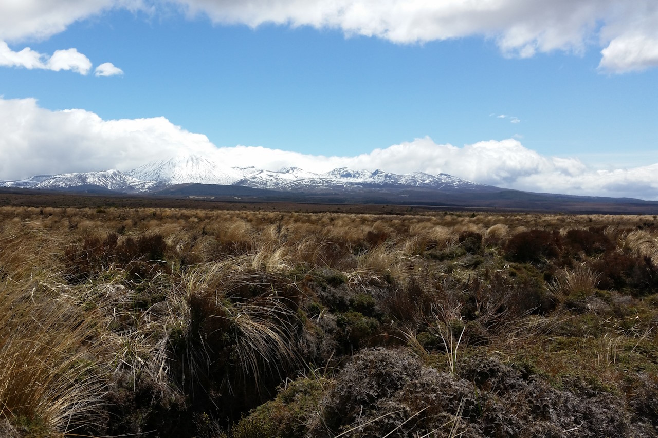 Bild zu Christchurch