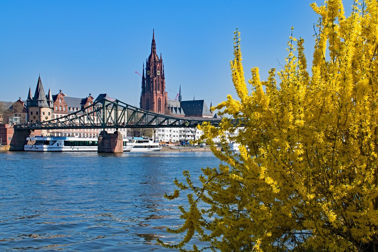 Bild zu Frankfurt am Main