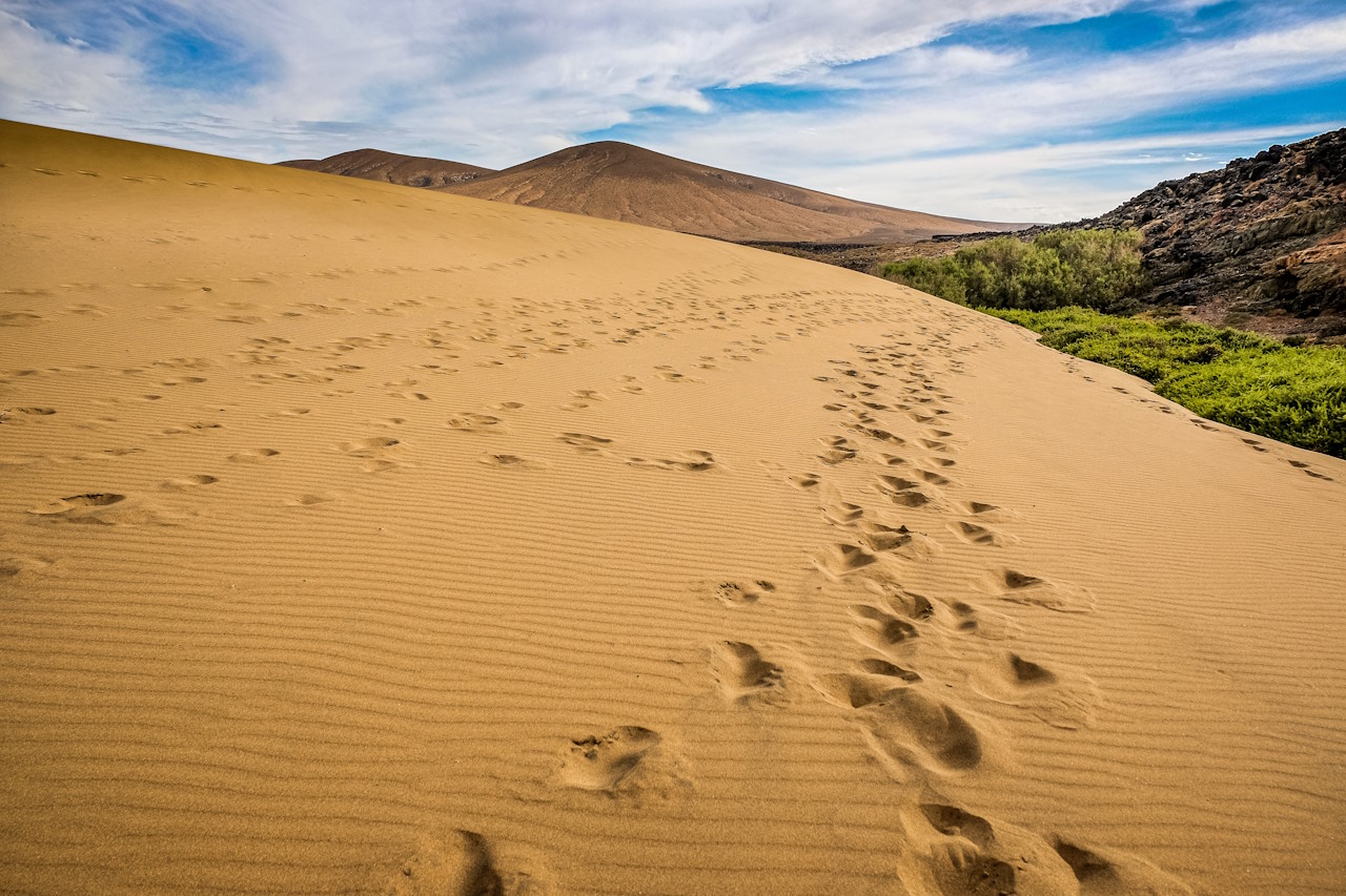 Bild zu Fuerteventura