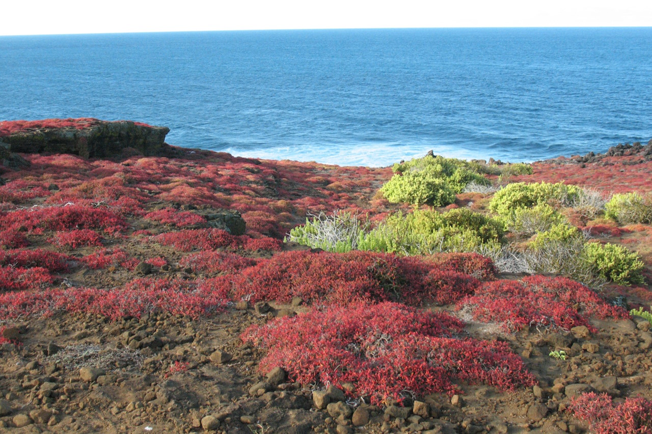 Bild zu Galapagos Inseln