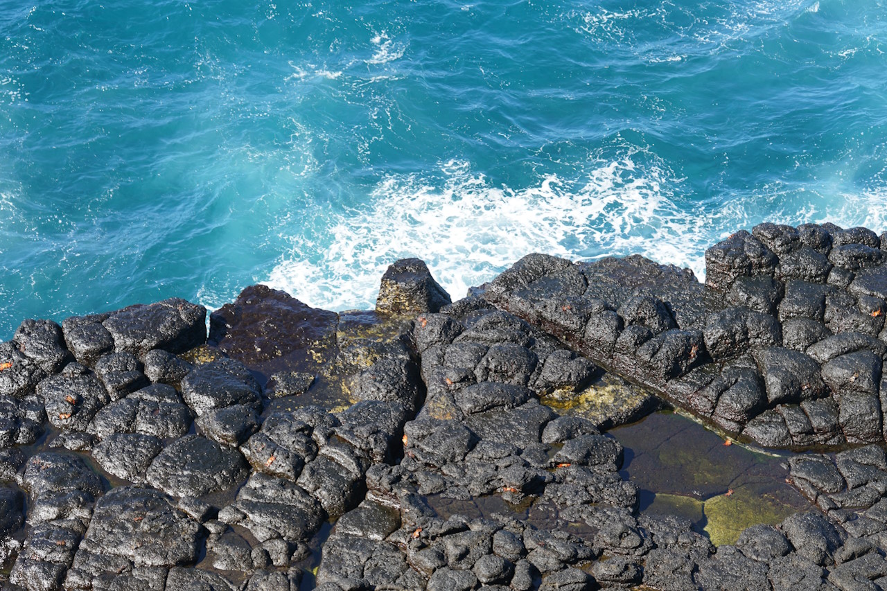 Bild zu Galapagos Inseln