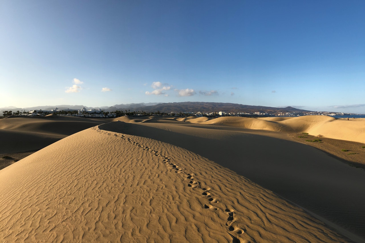 Bild zu Gran Canaria