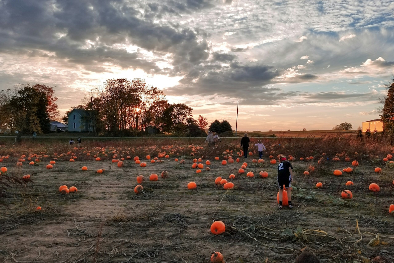 Bild zu Grand Rapids