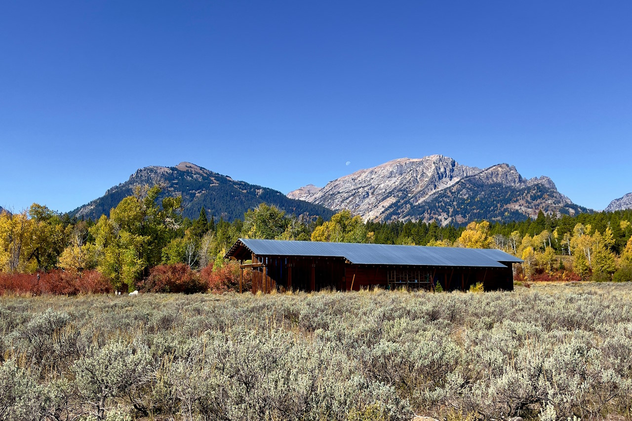 Bild zu Jackson Hole