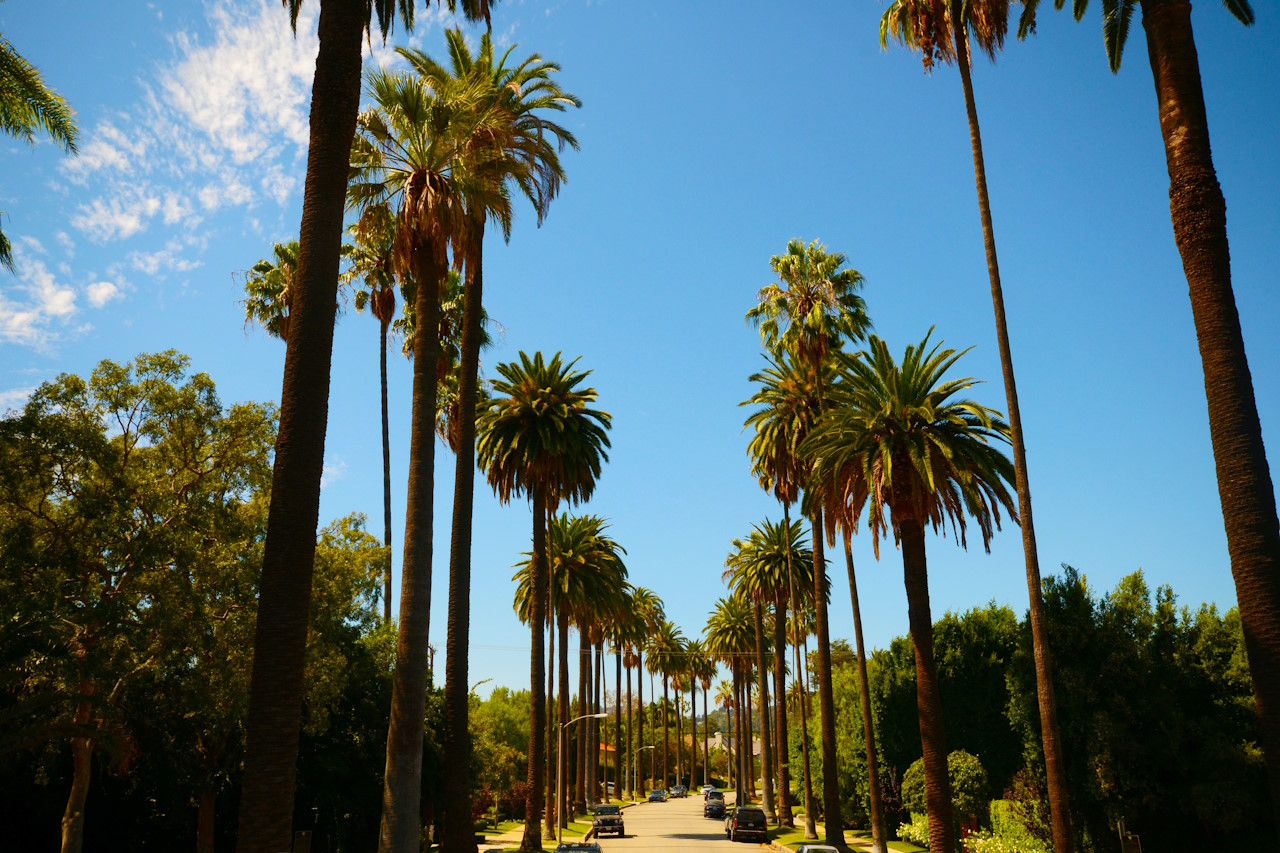 Bild zu Los Angeles