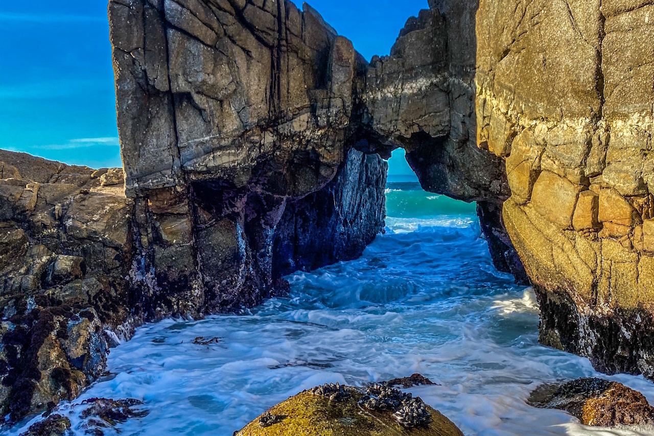 Bild zu Monterey