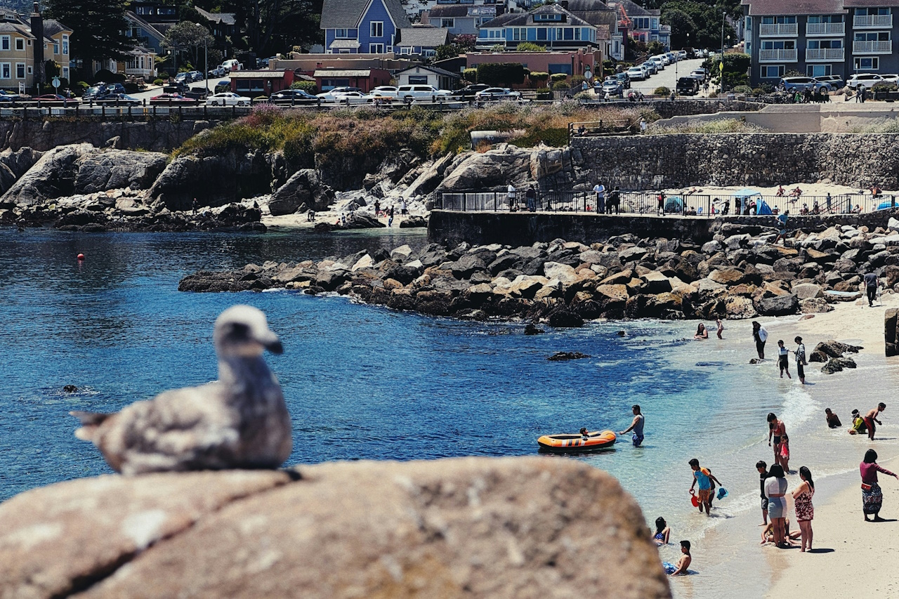 Bild zu Monterey