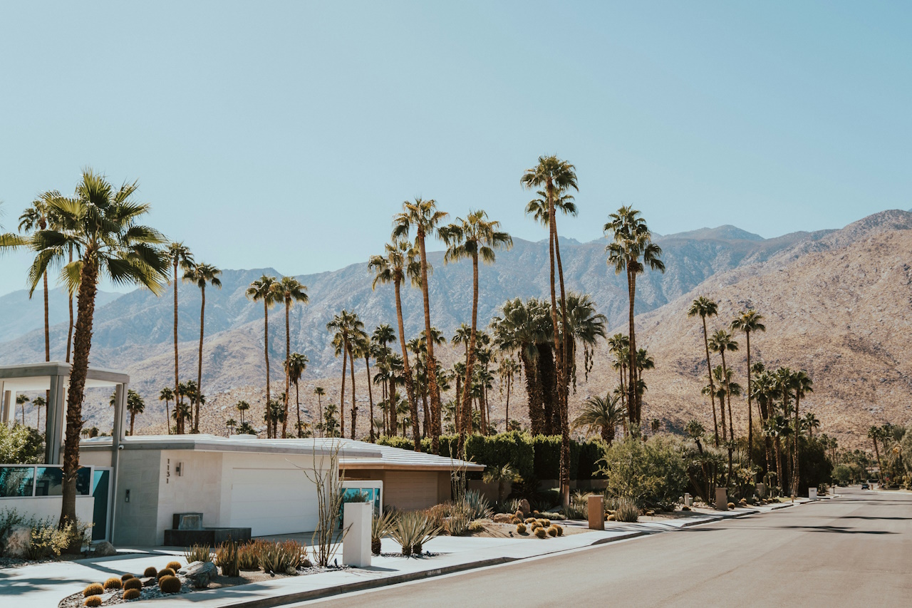 Bild zu Palm Springs