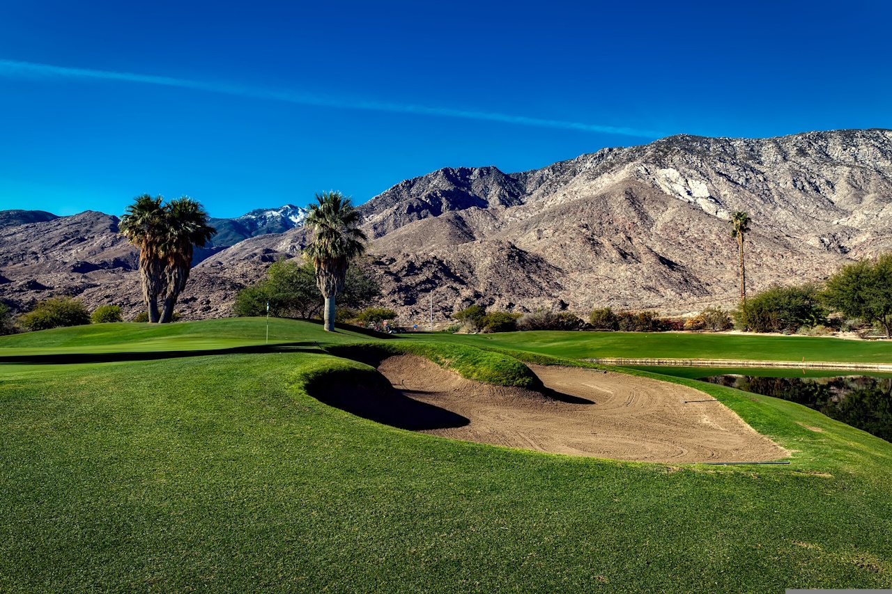 Bild zu Palm Springs