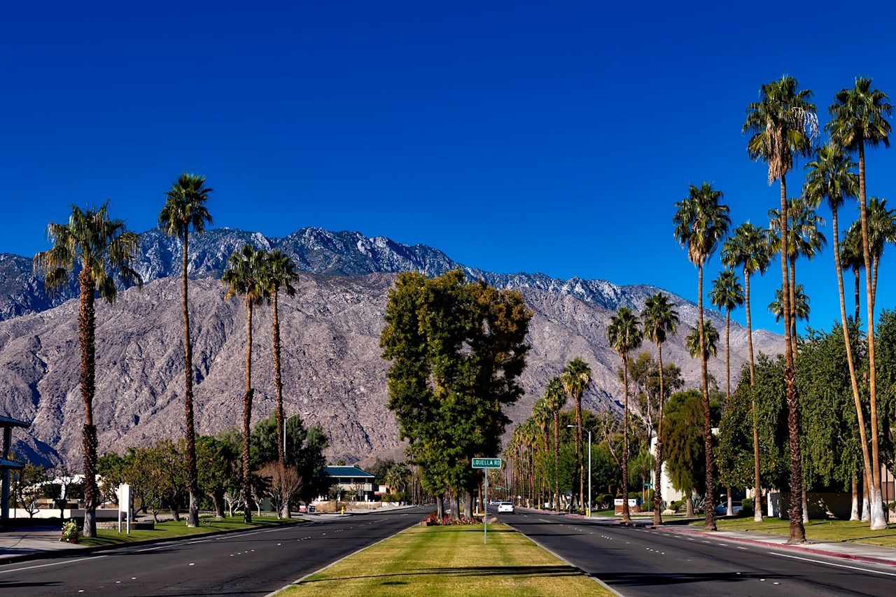 Bild zu Palm Springs