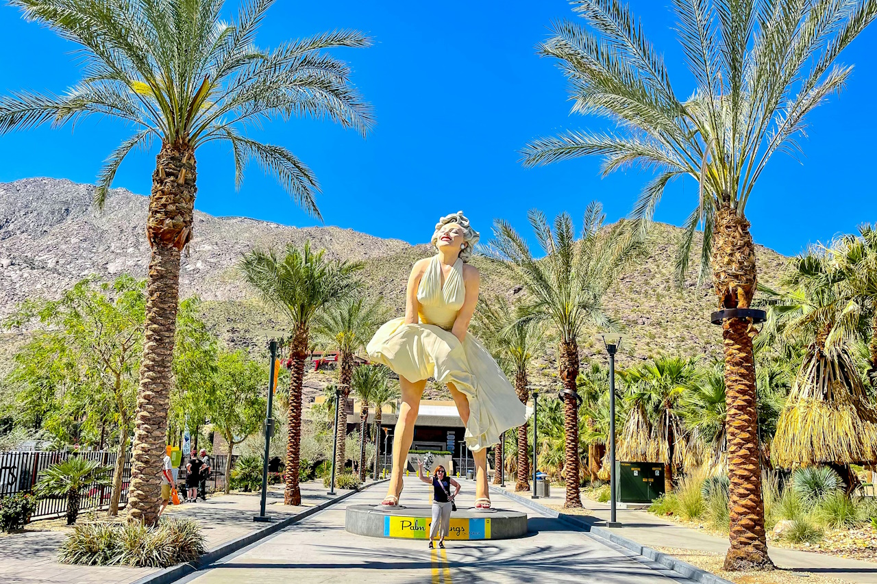 Bild zu Palm Springs