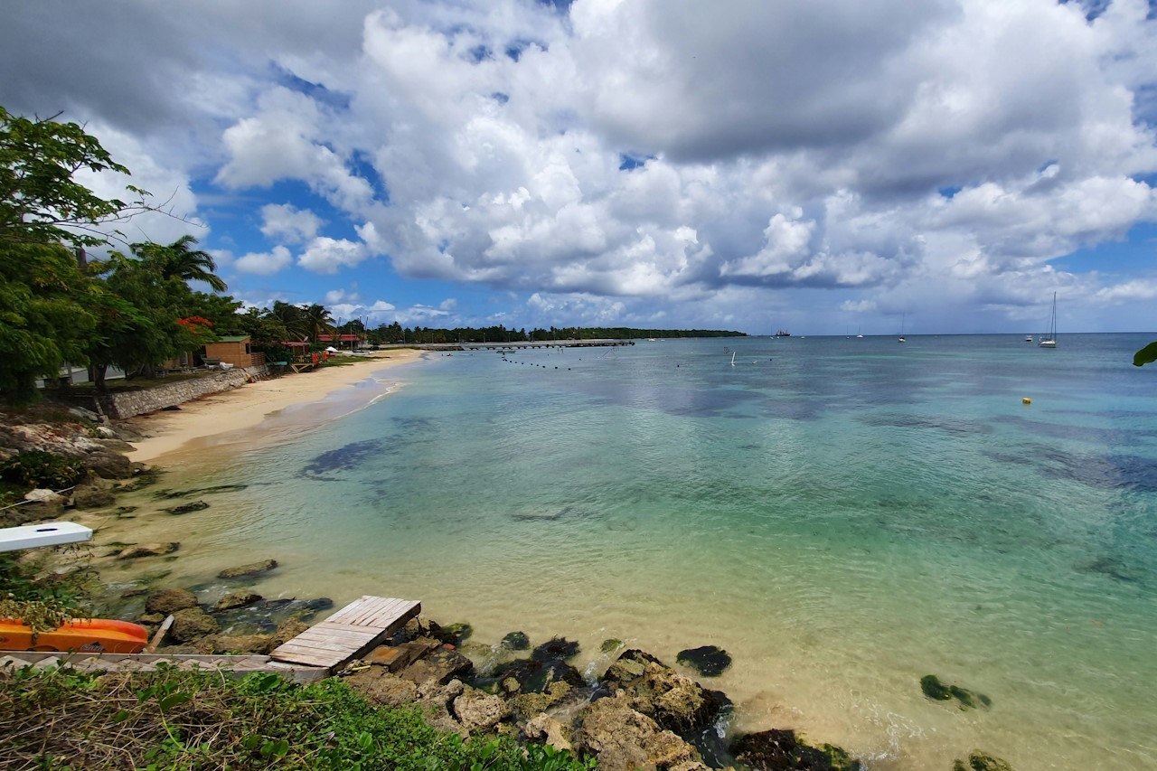 Bild zu Pointe-a-pitre