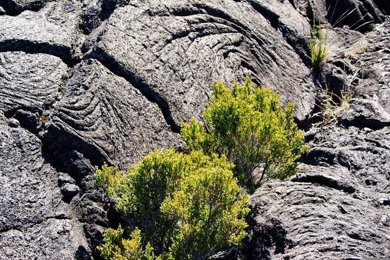 Bild zu Saint-Pierre