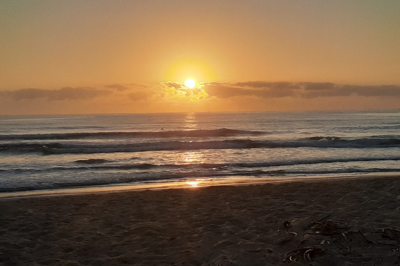 Bild zu Sunshine Coast