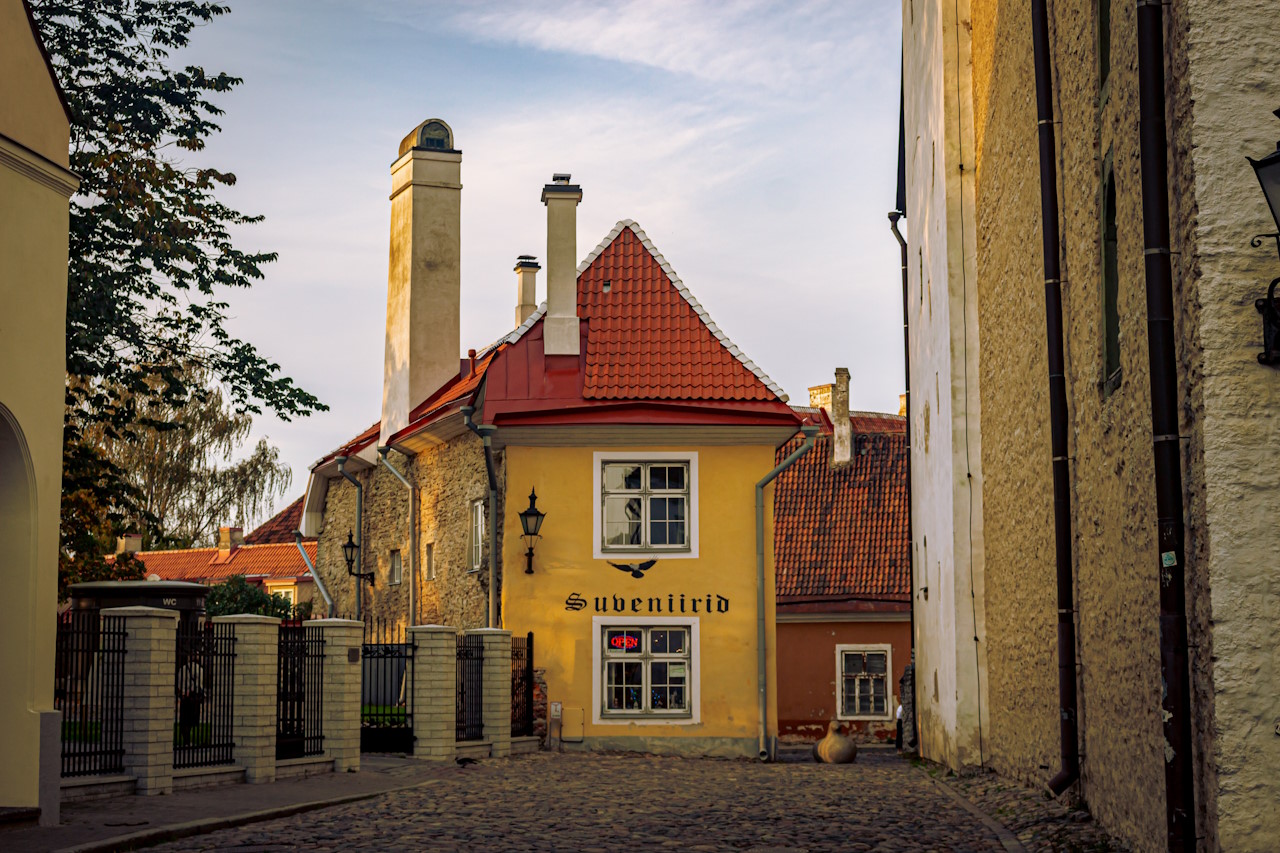Bild zu Tallinn